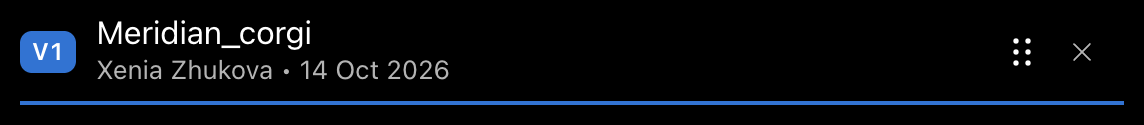The active V1 pane header for Meridian_corgi, with a blue line along the bottom